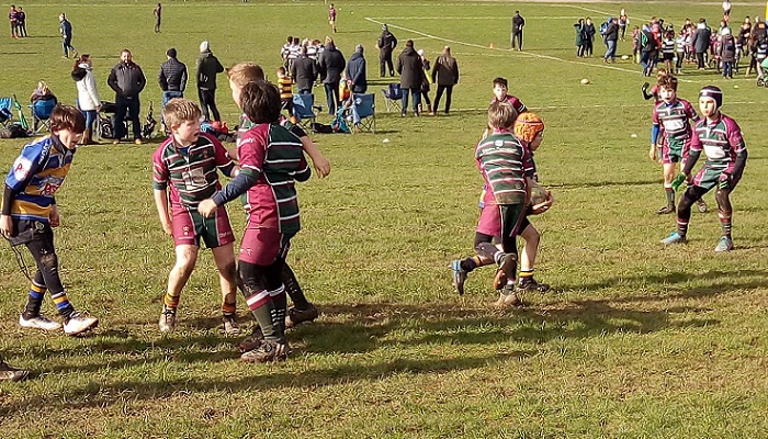 Image of Guildfordians RFC (GRFC) Minis Rugby  located on Stoke Park Guildford